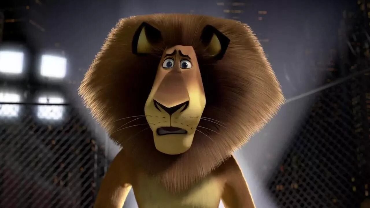 марти друживший с львом алексом 5. мадагаскар 1 2005. фосса мадагаскар мультфильм. мадагаскар мультфильм 2005. марти друживший с львом алексом 5.