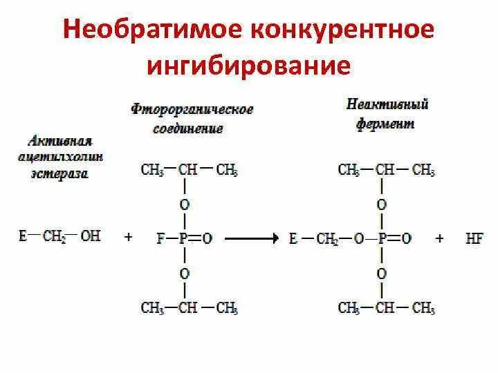 Активация ферментов ионами металлов. Структура фермента, регуляция активности ферментов. Активаторы и ингибиторы ферментов биохимия. Ингибиторы биохимия. Активация и ингибирование ферментов.
