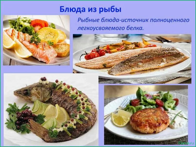 Значение блюд из рыбы. Блюда из рыбы. ассортимент рыбных блюд. презентация на тему рыбные блюда. сложных горячих блюд из рыбы.