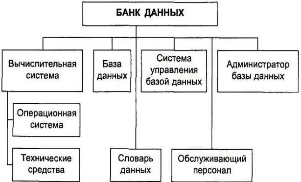 Понятие банки данных. Состав и структура банка данных. понятие банк данных и база данных. состав банк данных. схема общей структуры банка данных.