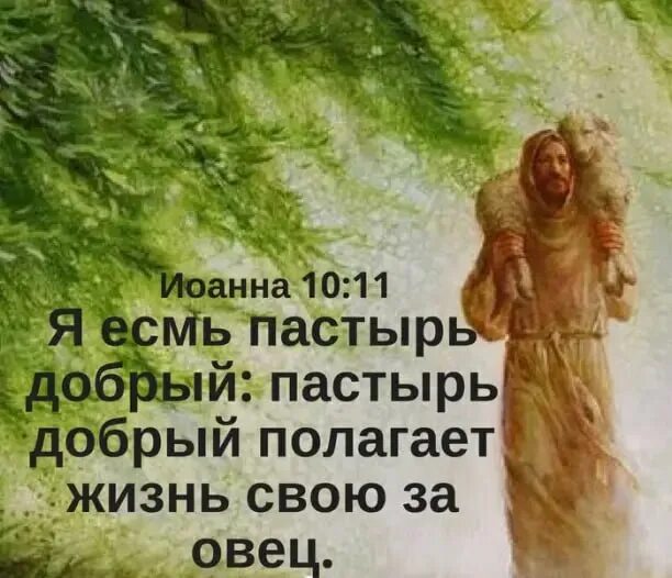 я есмь пастырь добрый и знаю моих. добрый полагаться. я вам денежку принес за квартиру. добрый полагаться. я пастырь добрый и знаю моих.