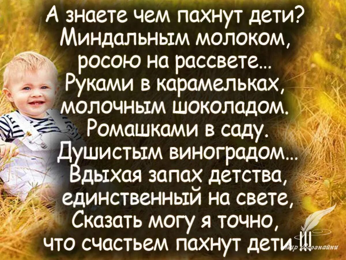 Красивая цитата про детей. Цитаты про детей. Красивые высказывания о детях. Статусы про детей красивые. Красивые слова про детей.