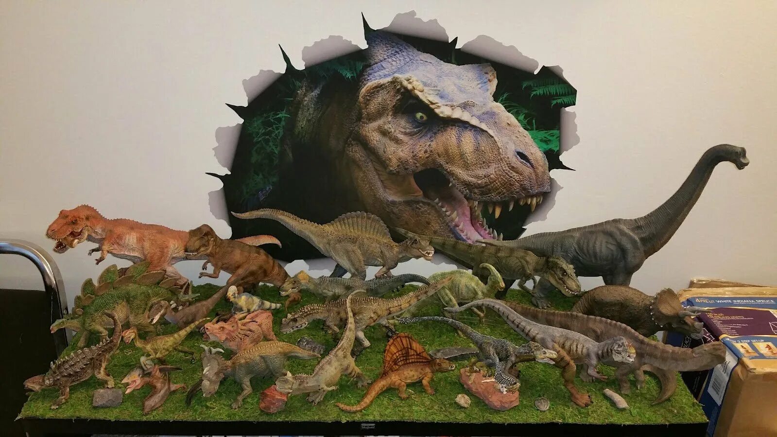 Коллекция динозавров. Выставка динозавров. Коллекционирование в детском саду динозавры. Коллекция динозавров для детей. Динозавры сборник