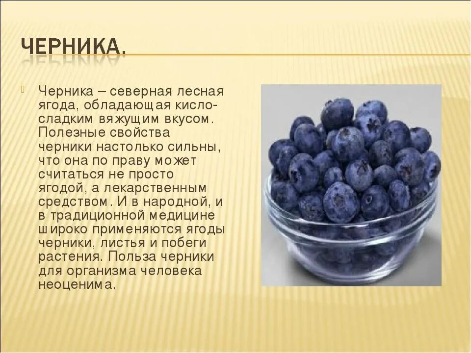 Кисло дневник. Чем полезна черника. Полезные ягоды. Интересные факты о ягодах. Черника полезные свойства.