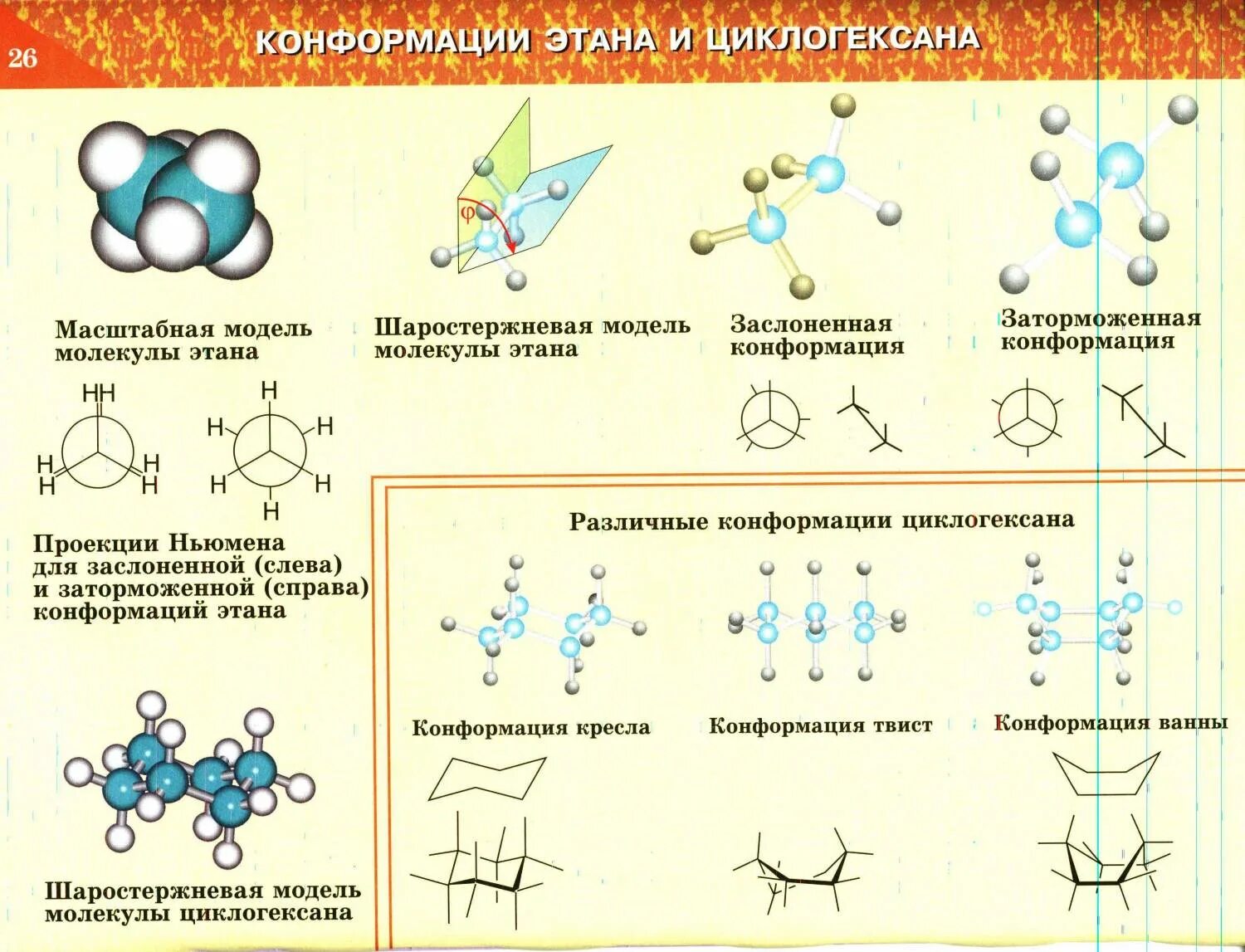 Конформация молекулы. Конформация молекул этана. Конформации циклогексана. Твист конформация циклогексана. Этан заслоненная и заторможенная конформации.