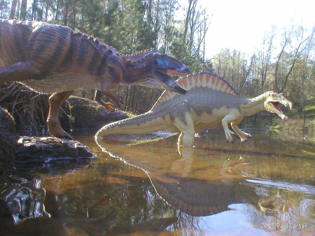 Спинозавр эволюция реконструкции. Аллозавр jurassic world evolution 2. Гигантозавр и тирекс. Кархародонтозавр vs спинозавр. Хищный динозавр с длинными передними лапами.