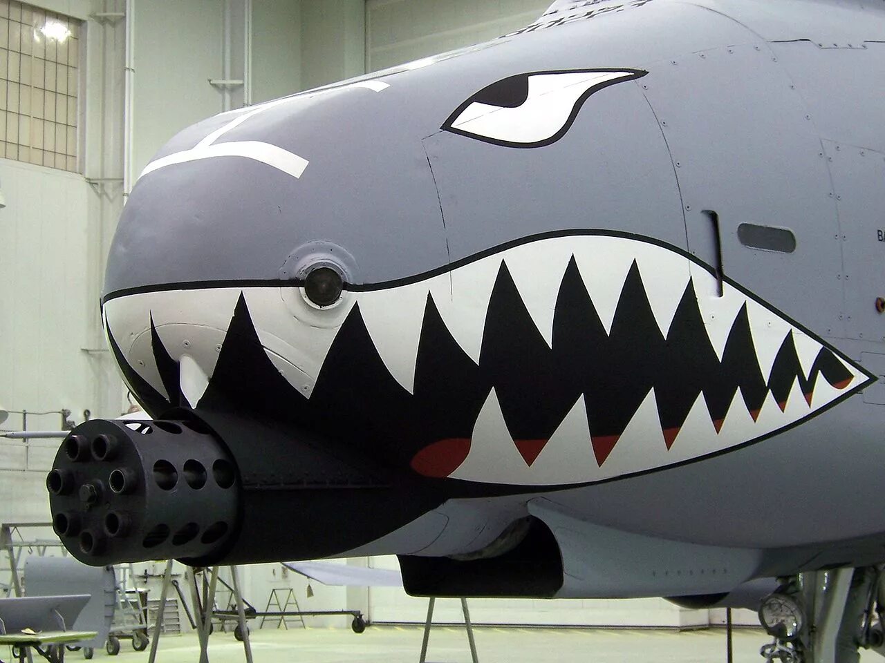 Самолет акула. Самолет шарк акула. а-10 тандерболт пушка. 10 акул. самолет с зубами.