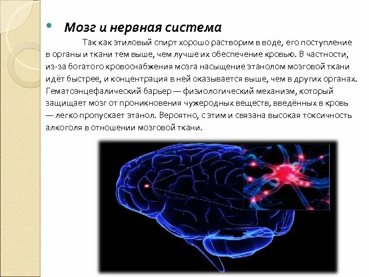 Функции головного мозга в нервной системе. Мозг и нервная система 3 класс по физкультуре. Вода и нервная система. Мозг и нервная система 4 класс по физкультуре. Сочинение на тему мозг.