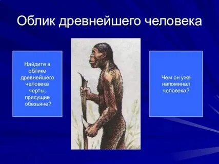 Тряпка в человеческом обличье 5 букв