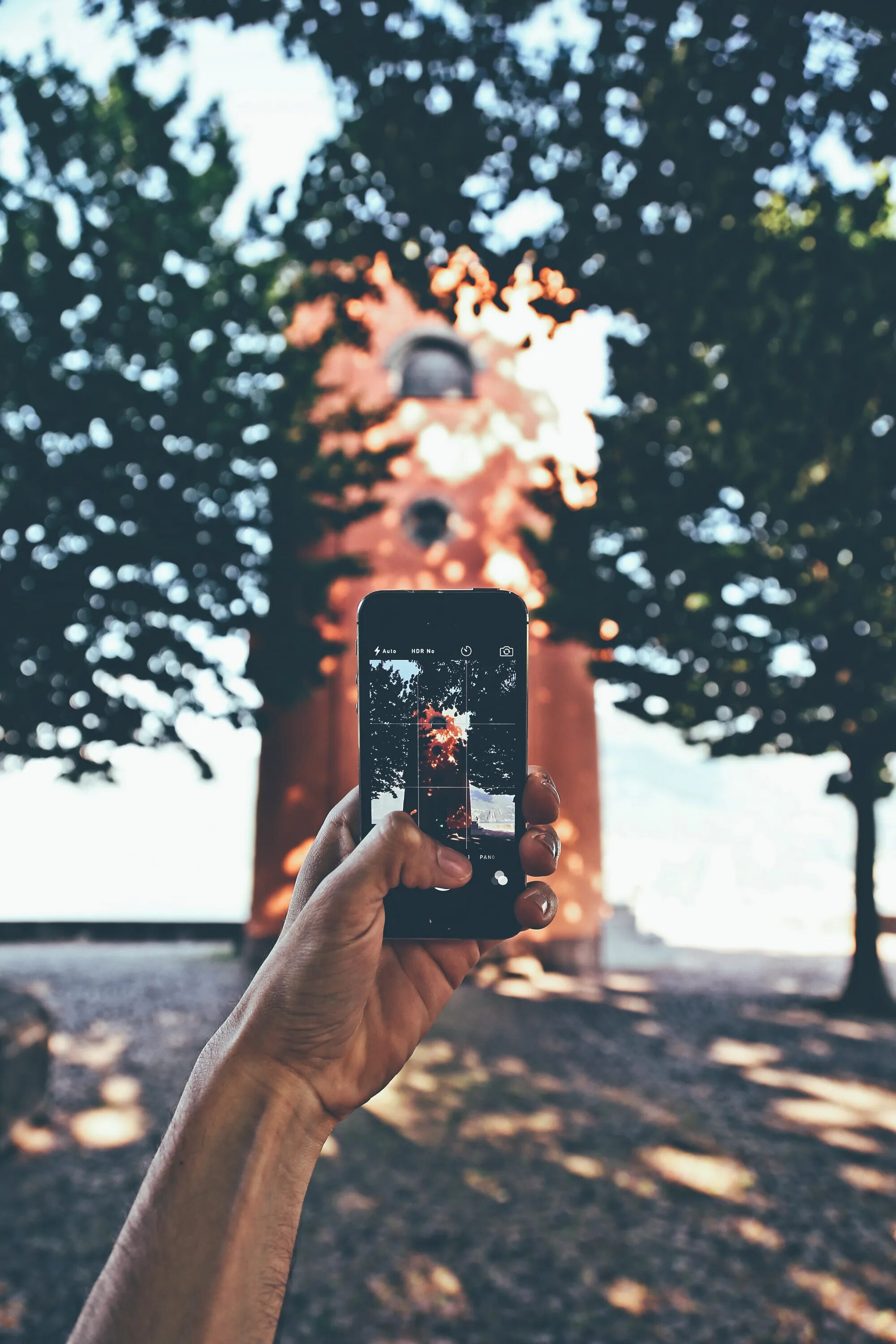 Фотографирует дерево. Фотоаппарат пальцами. Мобильный фотоаппарат. Человек с мобильным телефоном на дереве. Экшен на айфоне