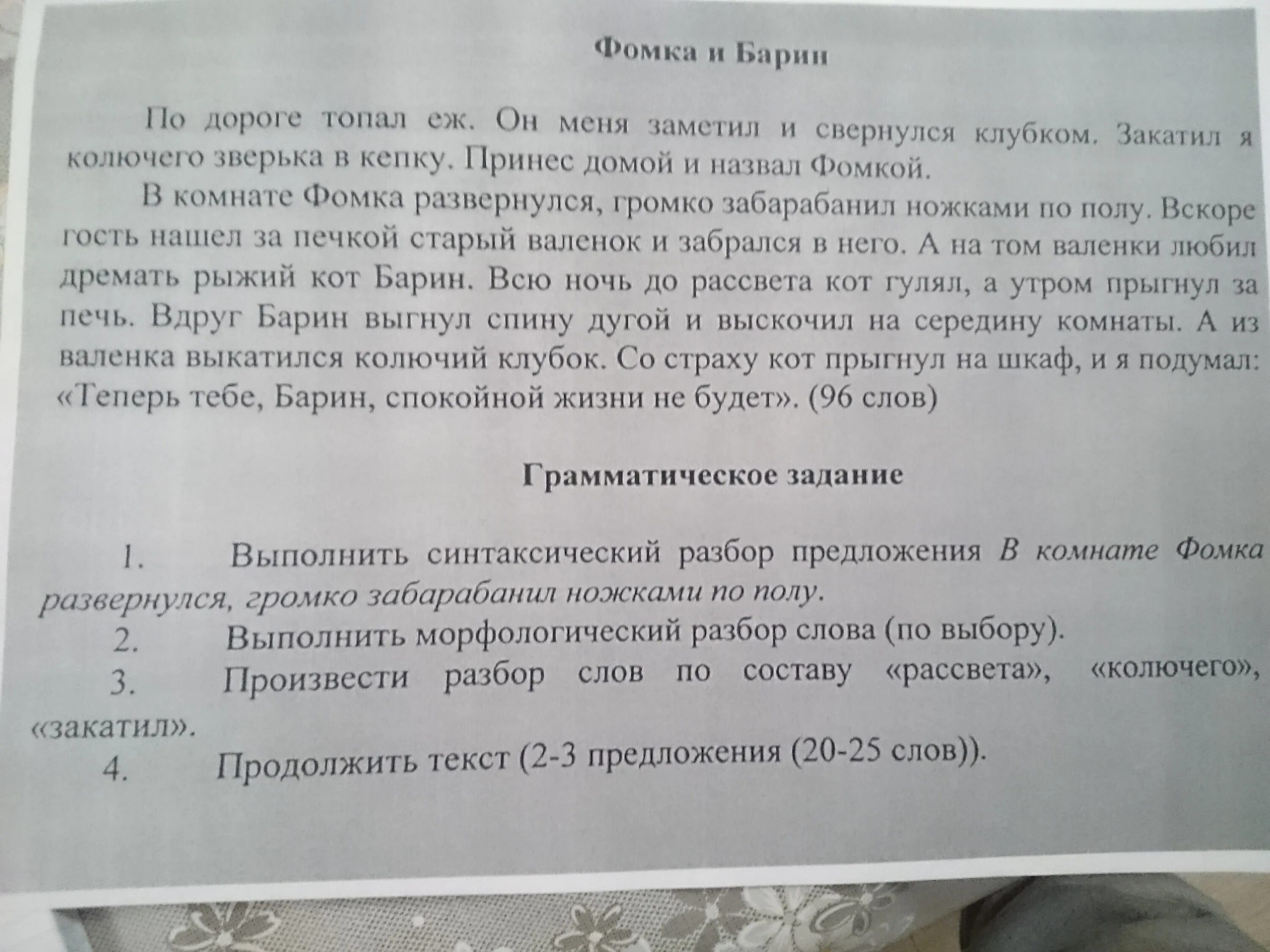 Закатил я колючего зверька в кепку