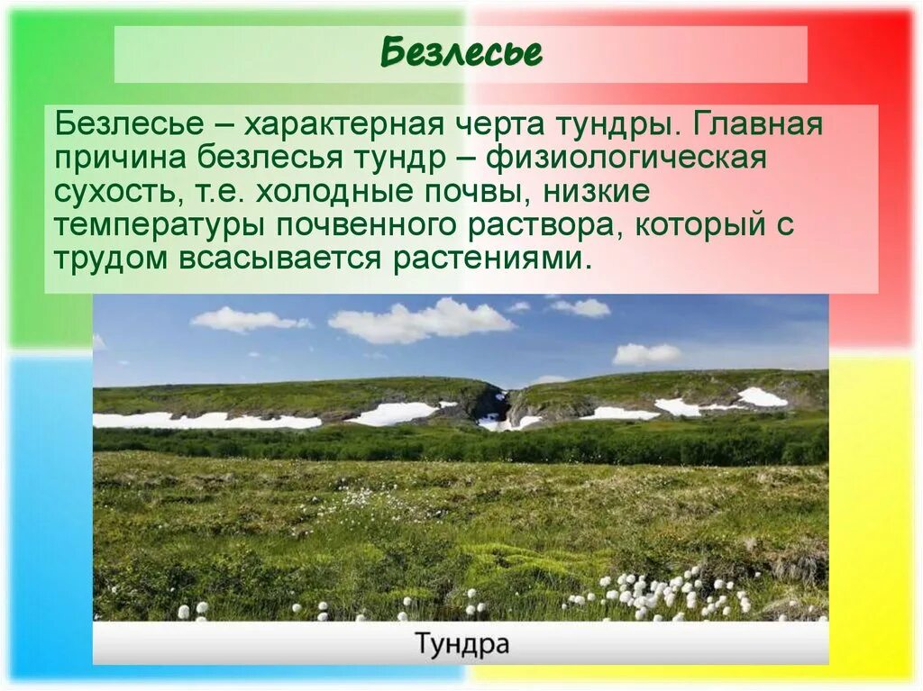 Почему тундра является безлесной. Тундра Безлесная зона. Причины безлесья тундр. Причинами безлесья тундр являются. География Северный безлесные зоны.