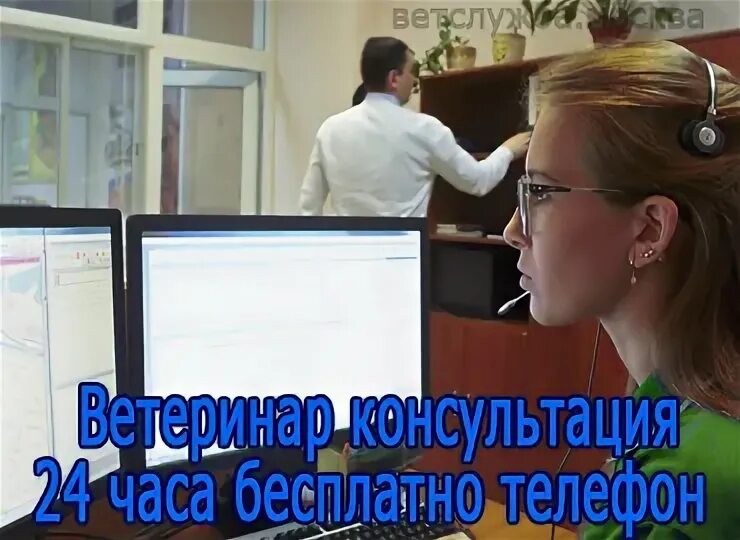 Бесплатная консультация ветеринара круглосуточно