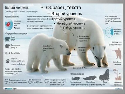 Длина белая