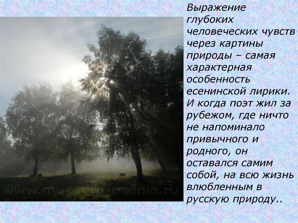 Анализ стихотворения степи дали. Стихотворение мелколесье степь и дали Есенин. Мелколесье Есенин 6 класс. Стихотворение Есенина мелколесье.