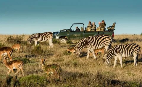 Game reserves