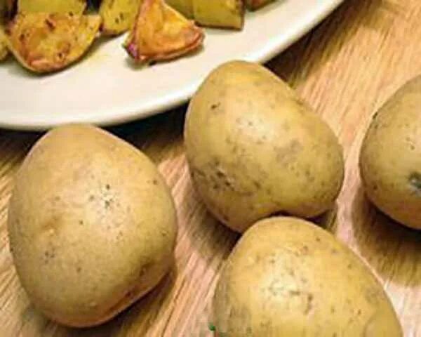 Грей картошку. Сорт картофеля Гала. Сорт Розара и Гала. Картофель Гала Розара. Сорт картофеля Гала и Розара.