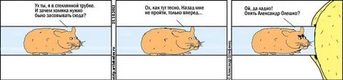 Папа брось хомяка