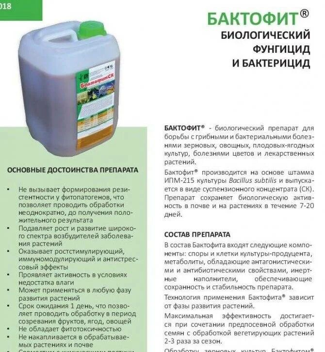 Признаки фитотоксичности серосодержащих фунгицидов