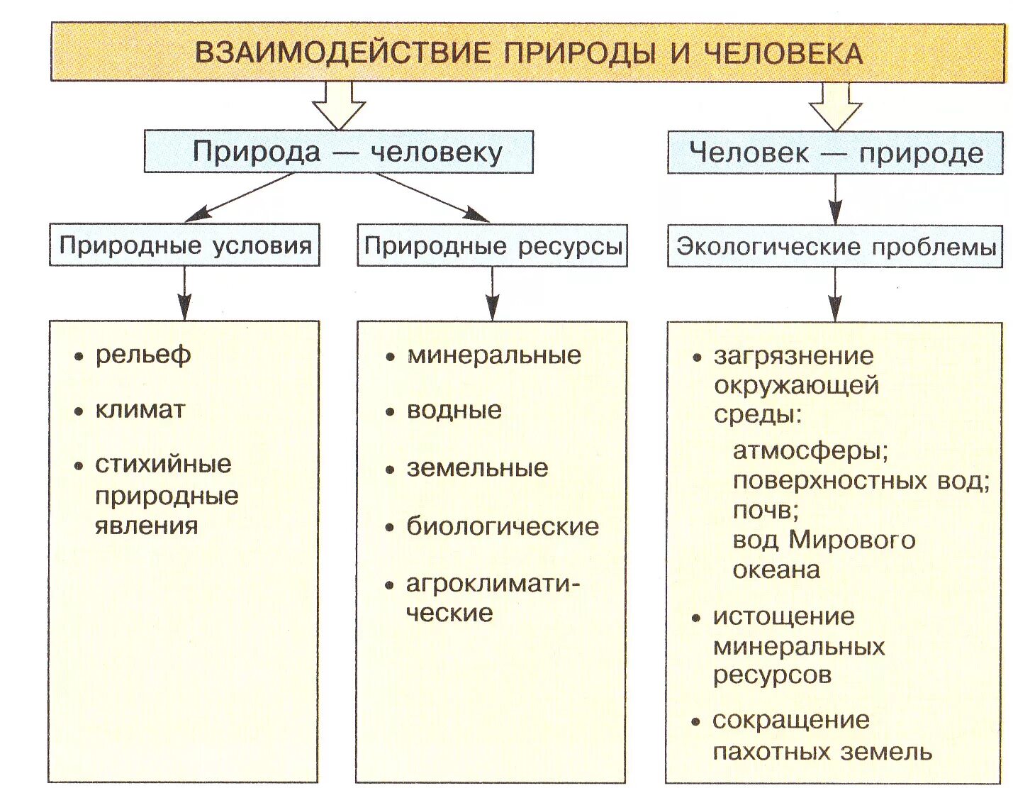 Закономерности природных ресурсов. Взаимодействие человека и природы. Взаимодействие общнств АИ природы. Взаимосвязь человека и природы. Взаимосвязь общества и природы.