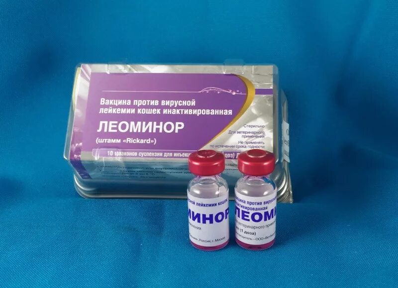 Вакцина для кошек 4. Вакцина против лейкемии кошек. Вакцина от лейкоза кошек. Вакцина против вирусного лейкоза кошек. Вакцинация от вирусного лейкоза кошки.