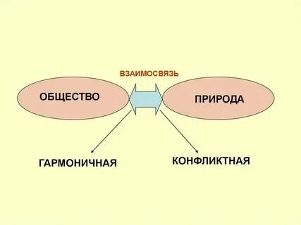 Примеры отношений между людьми Примеры связей в природе 2