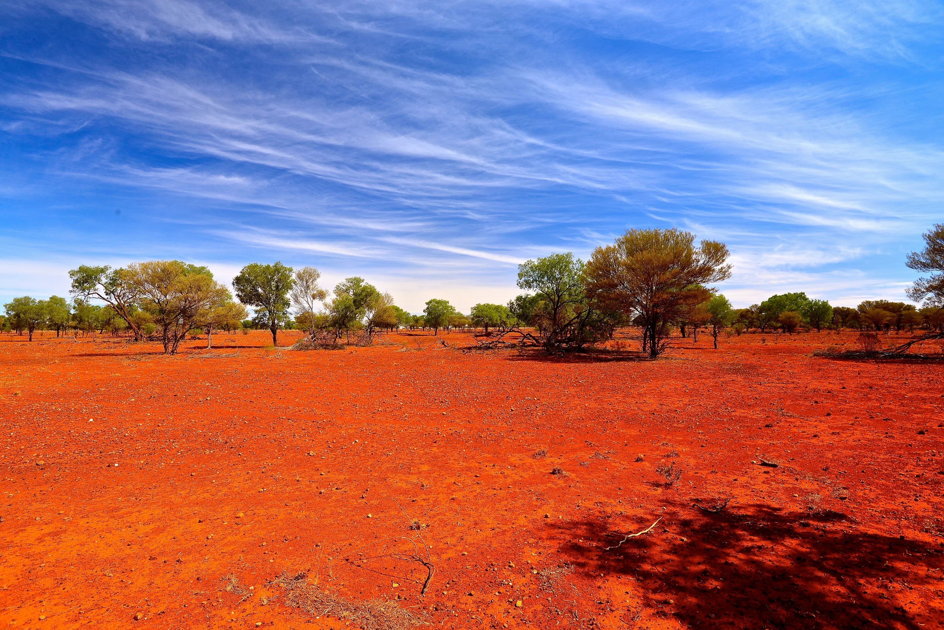 Засушливые области австралии. Красные ферраллитные почвы Австралии. Красно-желтые ферраллитные почвы Африки.