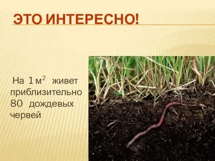 Экспериментатор решил изучить влияние температуры