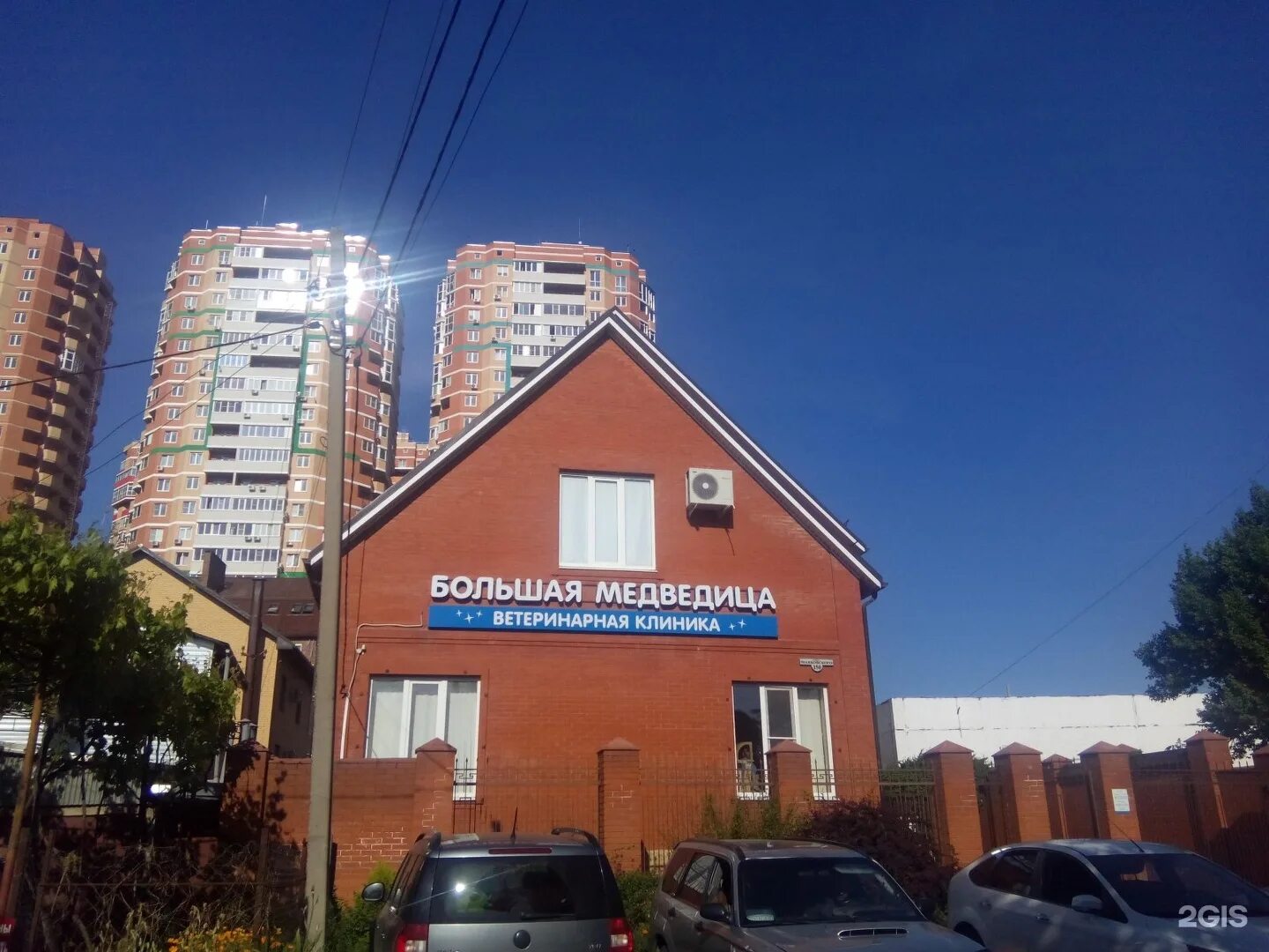 Медведица ветеринарная клиника краснодар. Большая ветеринарная медведица. Белая медведица ветеринарная клиника. Большая медведица ветеринарная клиника ижевск. Большая медведица ветеринарная клиника ижевск.