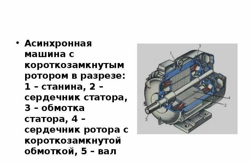 Двигатель с фазным ротором принцип работы. Устройство асинхронного двигателя фазным и короткозамкнутым ротором. асинхронный двигатель с короткозамкнутым ротором в разрезе. асинхронный двигатель переменного тока с короткозамкнутым ротором. устройств от асинхронного двигателя с короткозамкнутым ротором.