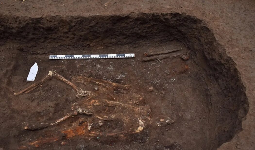 археологические раскопки. что были найдены в курганах. филипповский курганный могильник. курган раскопки скифских курганов. что были найдены в курганах.