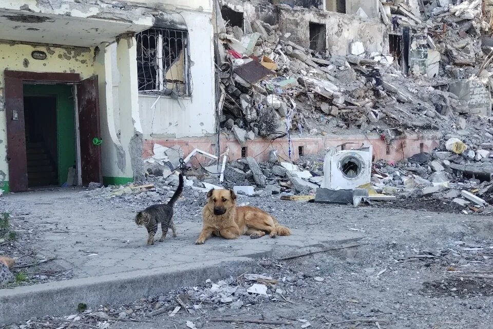 Спасение брошенной