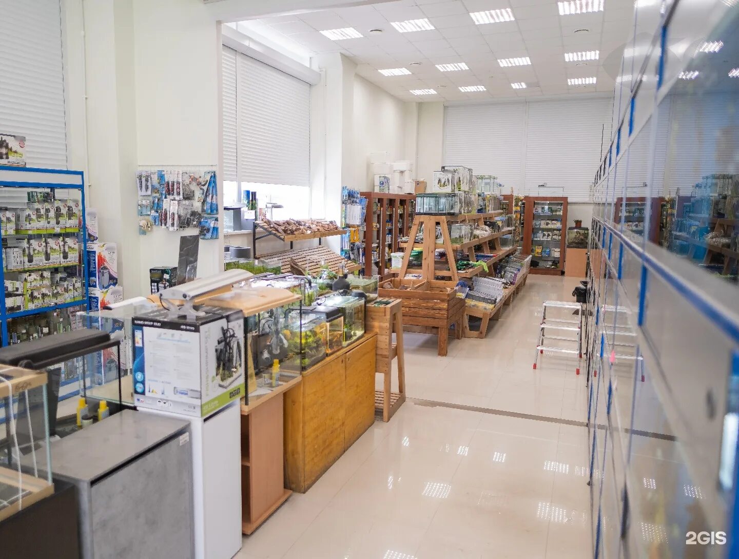 Аквариумный магазин. Лавка аквариумиста. Лавка аквариумиста маршала говорова 35 корп 5. Лавка аквариумиста маршала. Лавка аквариумиста говорова.