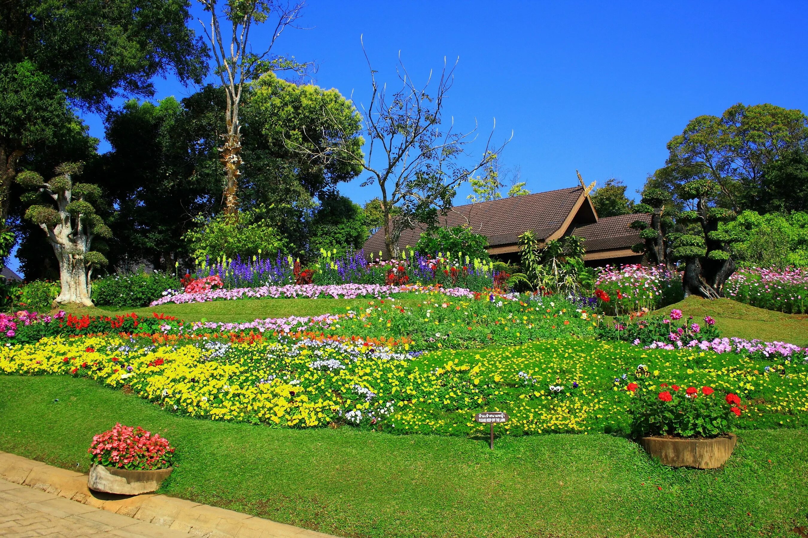 Garden flowers перевод. Парк «сады Аланьи». Цветы в саду. Красивый сад. Сад летом.