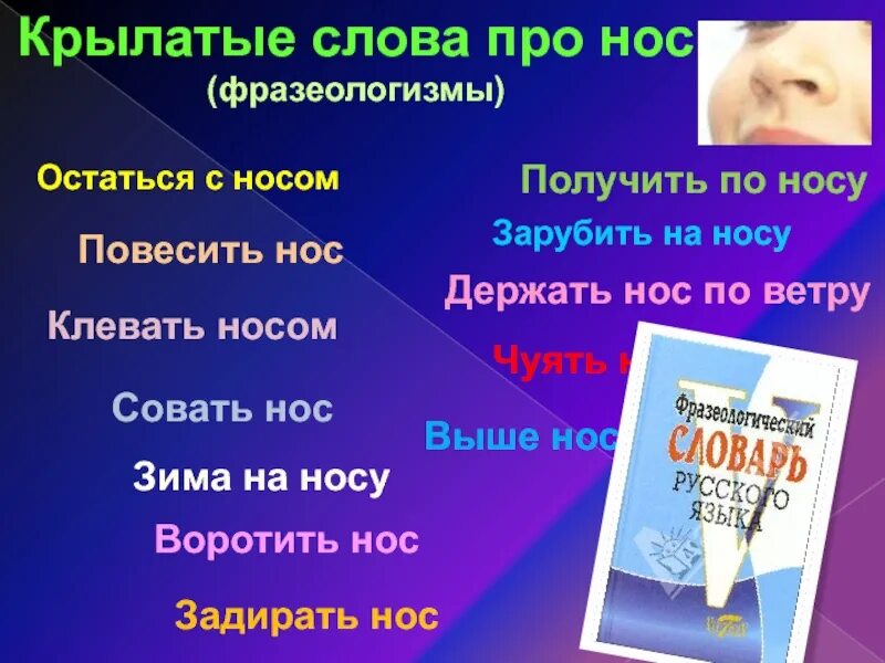 Нос по ветру значение. Держать нос по ветру фразеологизм. Держать нос по ветру. Что значит держать нос по ветру. Значение выражения держать нос по ветру.