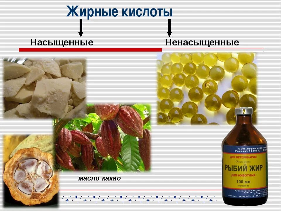 Какая кислота в организме человека