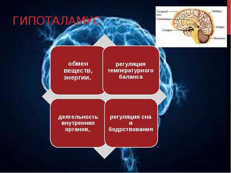 Регуляция сна. Цефалгия. Синдром вегетативной дисфункции цефалгии. Цефалгия головного мозга.