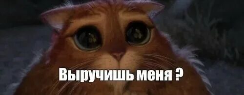 Кухня: записи сообщества ВКонтакте