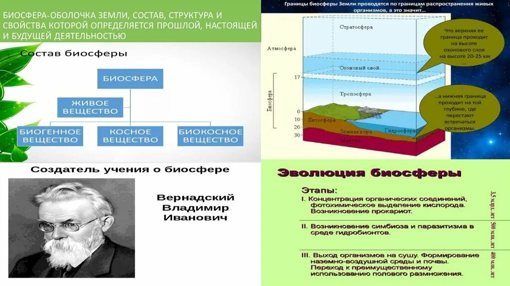 Примеры как биосфера взаимодействует с атмосферой. Инфографика Биосфера. Инфографика по биосфере. Плакат инфографика Биосфера. Этапы биосферы.