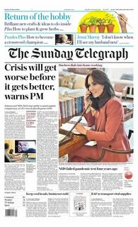 Telegraph статьи