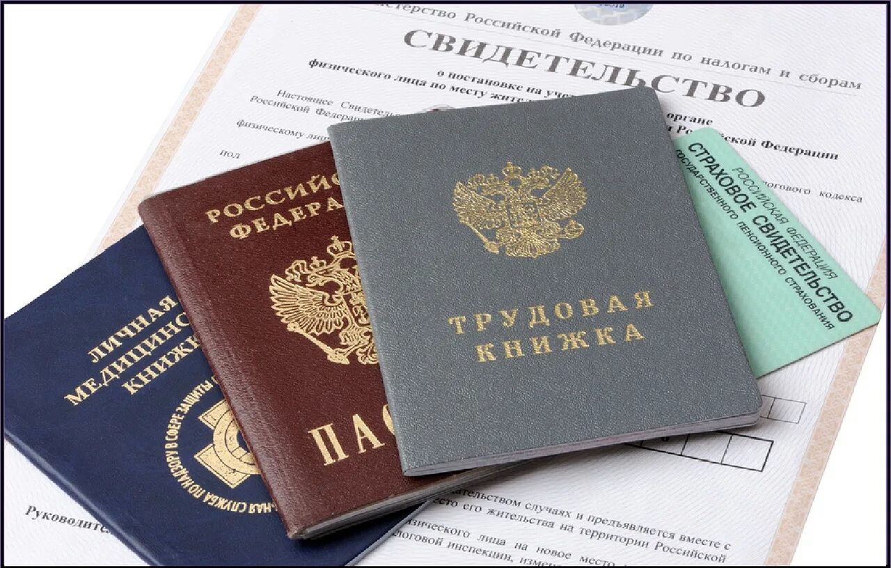 Личные документы в праве. Паспорт и трудовая книжка. паспорт снилс трудовая книжка. документы длятрудоустррйства. документы для трудоустройства.