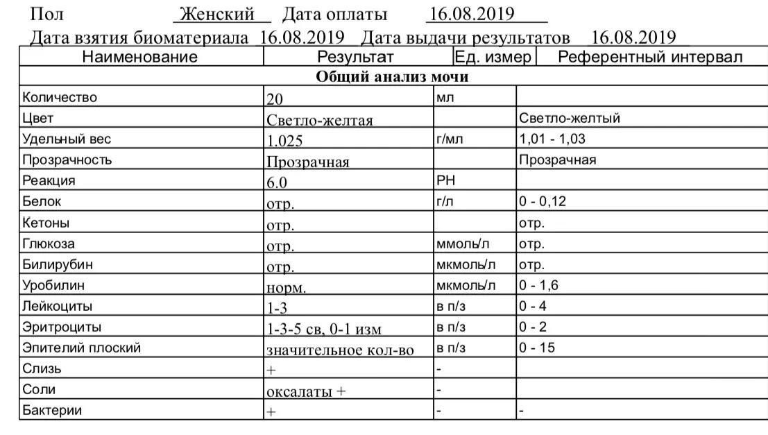 Лейкоциты при пиелонефрите. Общий анализ мочи при хроническом пиелонефрите показатели. Пиелонефрит показатели общего анализа крови. Показатели крови при пиелонефрите. Общий анализ мочи при пиелонефрите показатели у мужчин.