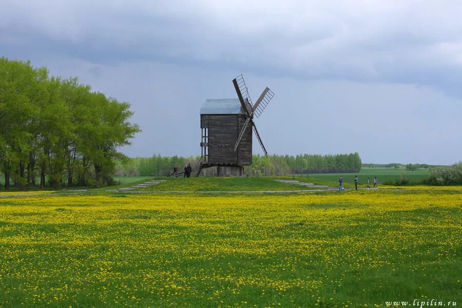 Фотографии белгородской области. Хутор нижние мельницы Валуйский район. Нижние мельницы Валуйский район Белгородская. Белгород пейзаж. Пейзажи Белгородской области.