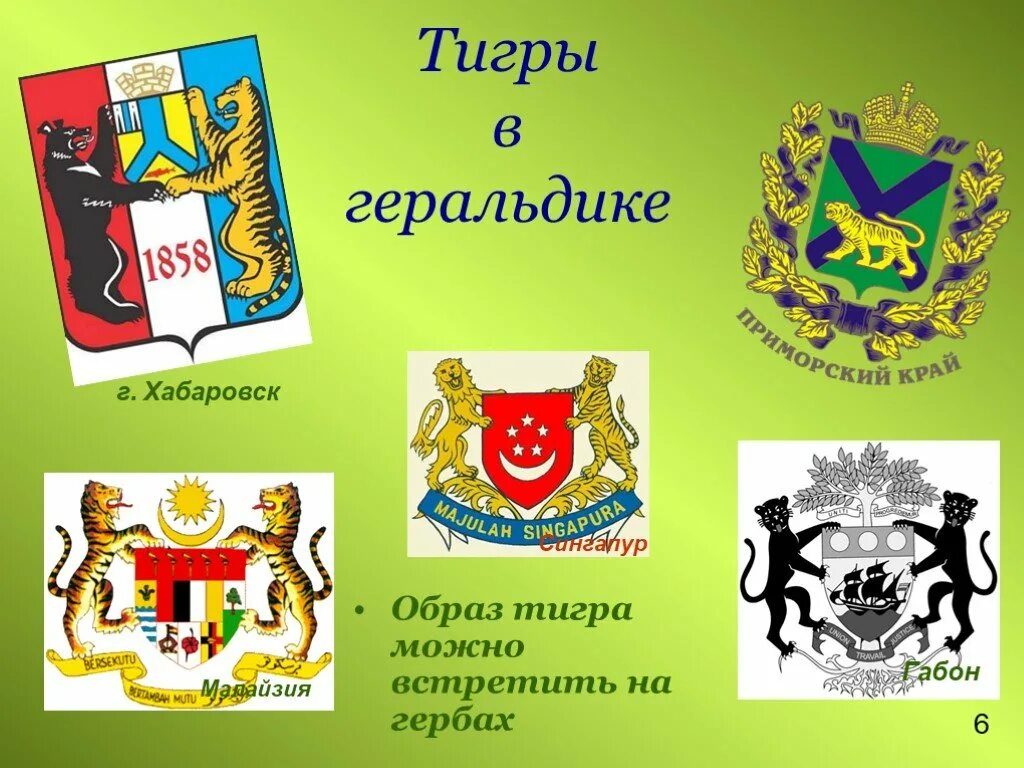 На каких гербах изображен тигр. Амурский тигр герб. тигр в геральдике. тигрица в геральдике. амурский тигр изображен на гербе.
