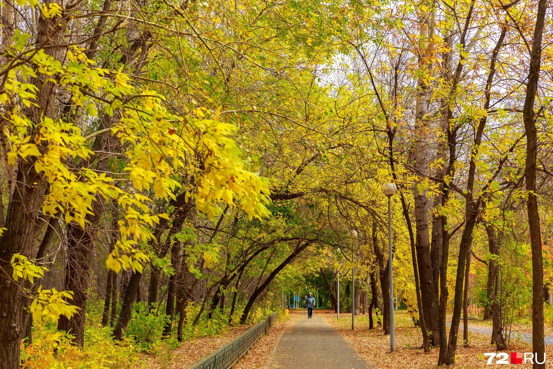 Какая будет осень в тюмени. Фото в тюмень возвращается бабье лето. Какая будет осень в тюмени. Тюмень осенью. Какая будет осень в тюмени.