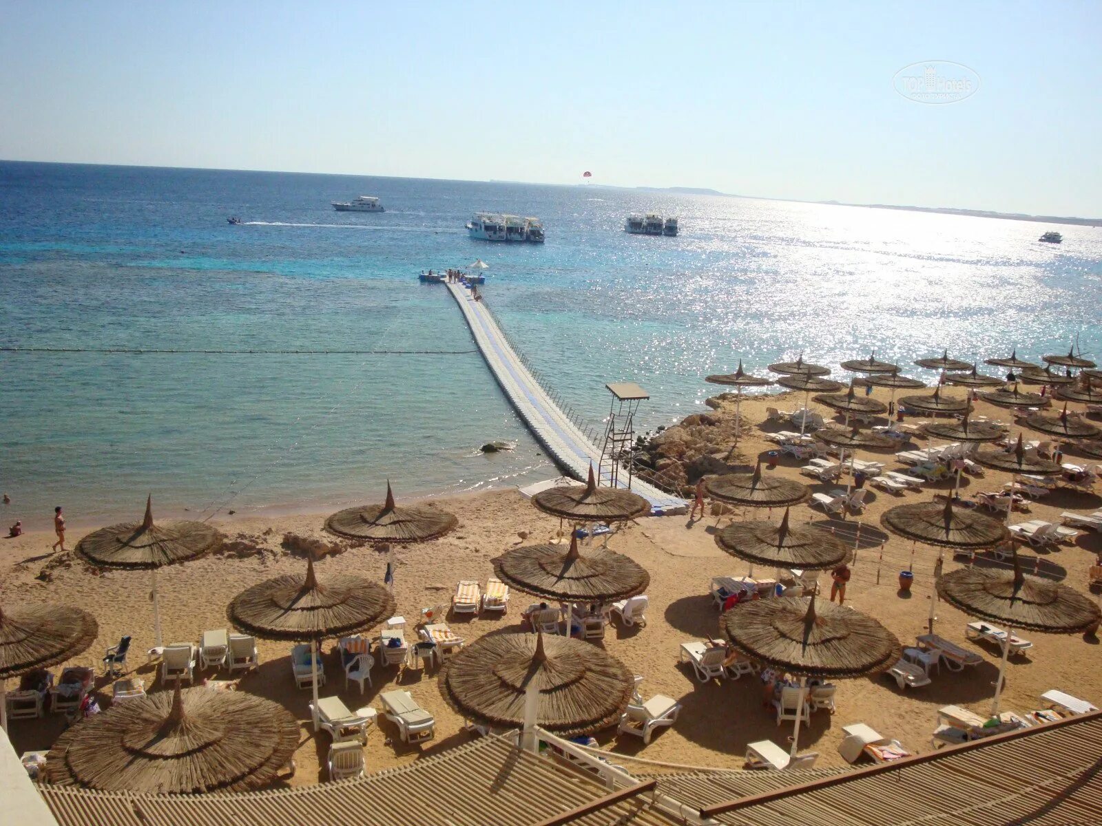 Риф оазис 5. Риф оазис бич. reef oasis beach resort риф. пляж отеля риф оазис бич. риф оазис бич видеообзор.