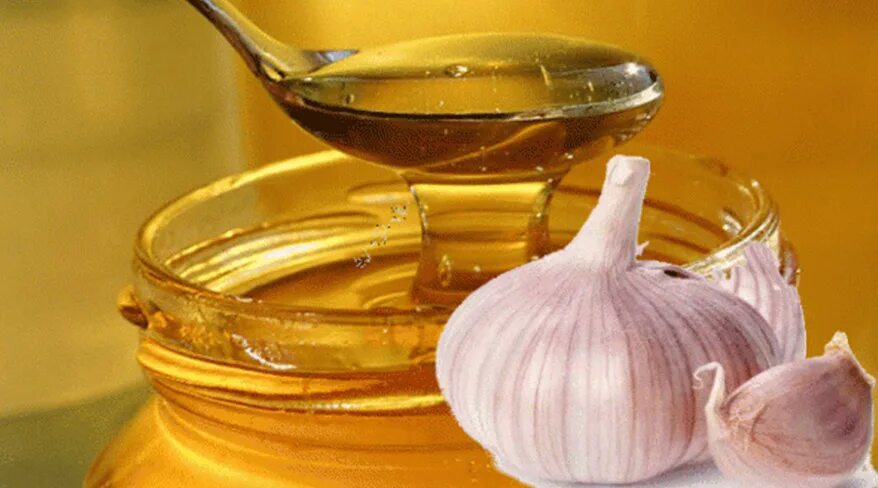 Чеснок с медом. Народное средство лук и мед. Чеснок лимон для очищения сосудов. Чистка медом. Средство для очищения сосудов.
