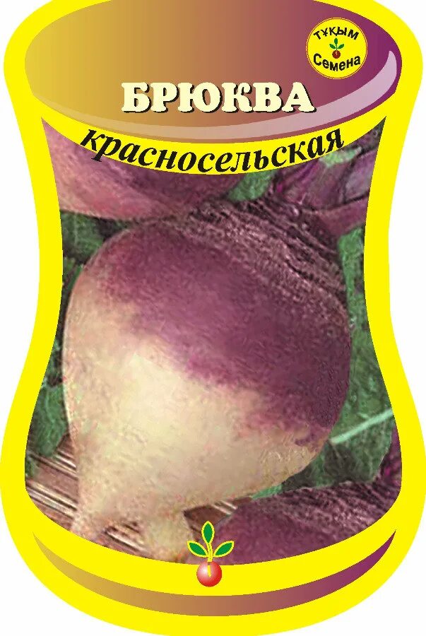 Брюква сорта. Семена брюквы. брюква кормовая куузику. брюква красносельская. размер семян брюква.