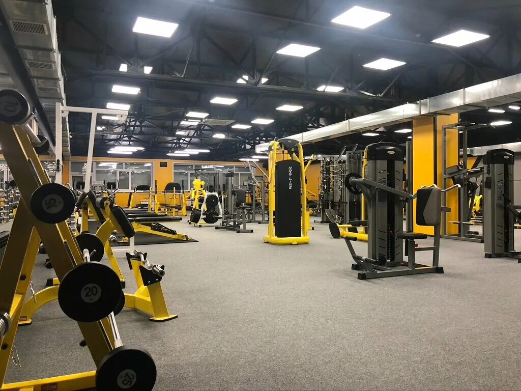 Тренажерные залы в благовещенске. Extreme gym, оренбург. Gold s gym лос анджелес. Вумен джим благовещенск. Gold gym благовещенск.
