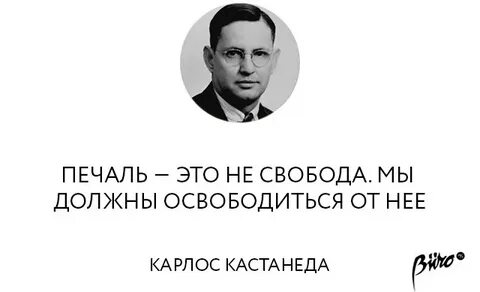 Глупые люди солнце на блюде
